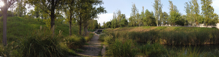 Paseo por el parque