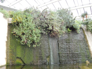 beautiful botanical garden in camarthen wales