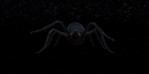 Creepy illustration of a large black hairy spider in space against a dark starry background.