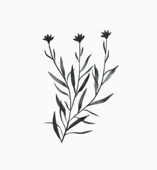 Black watercolor flower sketch. Modern hand drawn botanical illustration for wall art, greeting card, invitation and other.