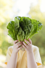 Child with green salad healthy food