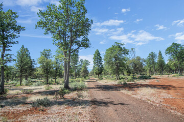 There are no recognizable people or property visible in the photos.