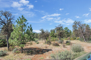 There are no recognizable people or property visible in the photos.