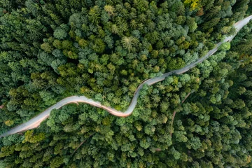 Poster Backlights of a driving car in a curvy road as long exposure from a drone, having a trip to a green summer forest at the evening. © allessuper_1979