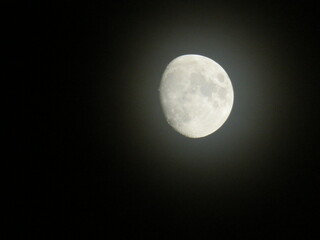 Obraz premium 月 夜