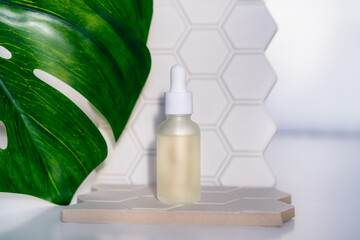 Mockup bottle of natural essential oil on geometric hexagons background with green monstera leaf on...