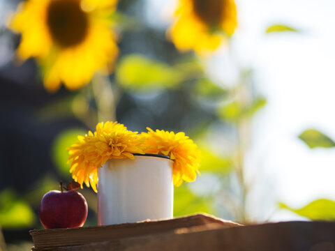 Yellow flowers in a cup on a wooden book, a sunny photo, a ripe red apple, yellow sunflowers background
