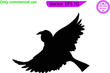 Digital silhouettes of bird. Bird vector illustration. Flying sparrow isolated on transparent background.