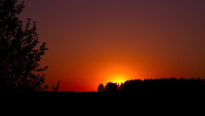 Sky in the orange colors. Light of the sun breaks through the forest..Beautiful color light sky with silhouette of trees at sunset background.