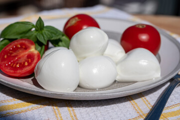 Cheese collection, white balls of Italian soft cheese mozzarella served with fresh tomatoes and basil