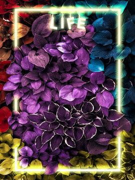 COLORFUL flowers of life abstract art