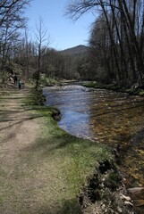 Río en la comarca lucense de Terra Chá