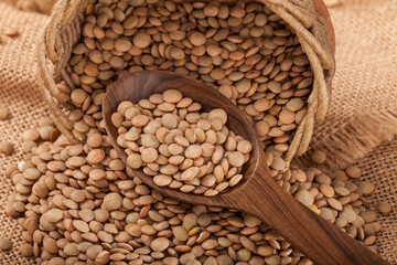 Very Healthy Food; Raw Brown Lentils Heap