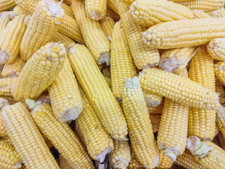 Fototapeta na wymiar Corn on the cob corn background.Corn on the counter.Close up capture . Photography of corn product. Pile ripe after harvesting. Sweet picture.