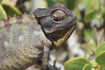 Bird life at the coast 