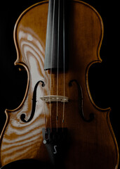 violin isolated on black