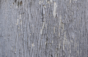 Fototapeta premium Abstract, natural and high resolution textures.