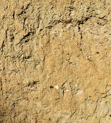 Abstract, natural and high resolution textures.