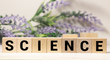 The word SCIENCE is written on wooden cubes on a wooden background next to a pen and glasses.