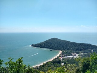 Laranjeiras em santa Catarina