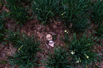 Doll Head in grass