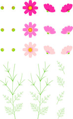 コスモスの花と葉、蕾のイラスト素材セット