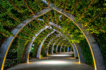 Brisbane Arbour walk located in the picturesque Southbank parklands - obrazy, fototapety, plakaty