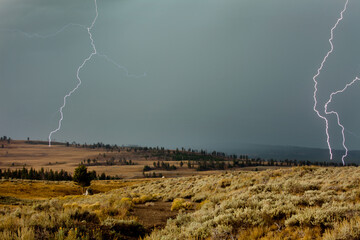 Lightning  in Yellowstone
