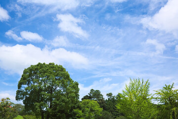 梅雨明けの初夏の青空　	