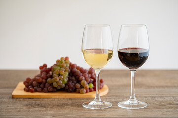 ワイン　ワイングラス　ワインとブドウ