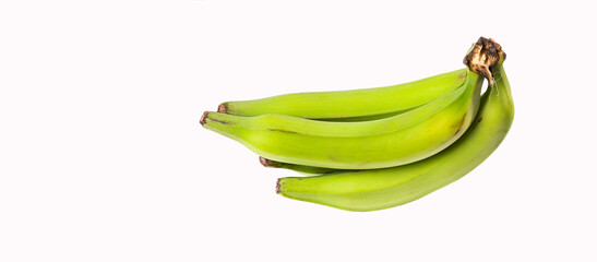 Organic green banana - Musa x paradisiaca - obrazy, fototapety, plakaty