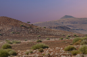 Early Morning in Damaraland (Namibia)