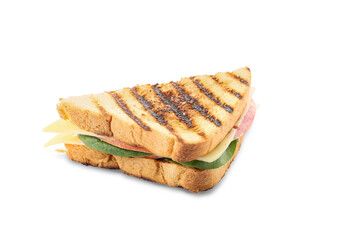 Tasty sandwich on white background