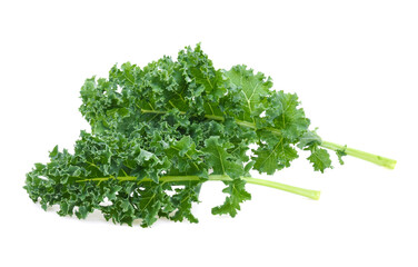 Kale leaf salad vegetable isolated on white background