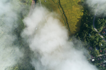 Aerial view drone shot of flowing fog waves on mountain tropical rainforest,Bird eye view image over the clouds Amazing nature background with clouds and mountain peaks in Nan Thailand.
