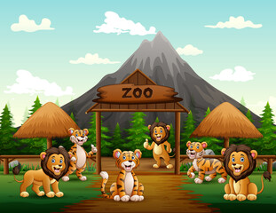 Cartoon lions and tigers playing in the zoo entrance