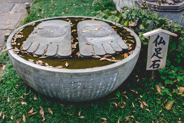 Big stone pot with water and the shape of the feet of Buddha at the garden of a buddhist temple in...