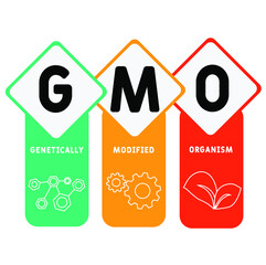 GMO - Genetically Modified Organism acronym. business concept background.  vector illustration concept with keywords and icons. lettering illustration with icons for web banner, flyer, landing 