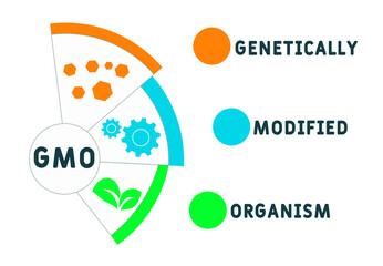 GMO - Genetically Modified Organism acronym. business concept background.  vector illustration concept with keywords and icons. lettering illustration with icons for web banner, flyer, landing 