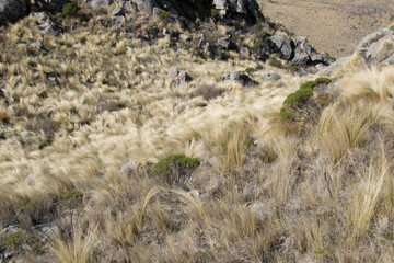 SENDERISMO EN CERRO O MONTAÑA