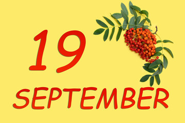 Rowan branch with red and orange berries and green leaves and date of 19 september on a yellow background.