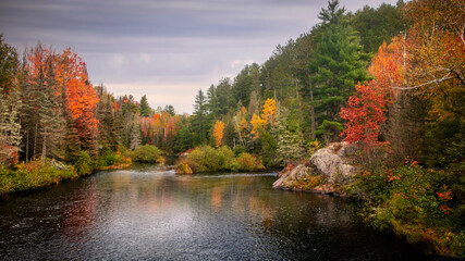Fall foliage by Dead river in Michigan countryside during autumn time