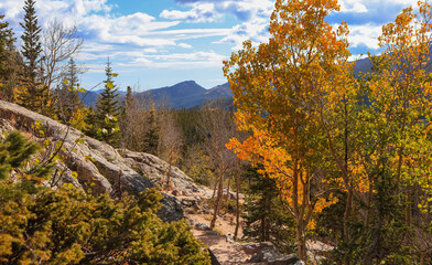 Fall foliage along Dream lake trial in Colorado rocky mountains