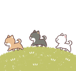 Obraz premium 歩く柴犬たちのフレーム