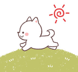 太陽と走る白柴犬