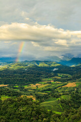 Fototapeta na wymiar Rainbow hills rain Over Forest.