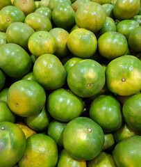Tangerines (Citrus reticulata) are placed on the shelf for sale, Fresh green color, good source of vitamin C, necessary for immune system
