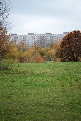 Autumn trees with yellow leaves in the city park. Autumn landscape.