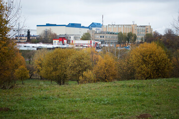 Obraz premium Autumn trees with yellow leaves in the city park. Autumn landscape.