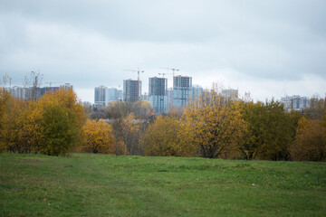 Autumn trees with yellow leaves in the city park. Autumn landscape.